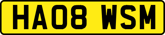 HA08WSM
