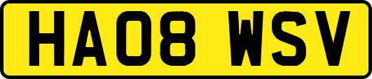 HA08WSV