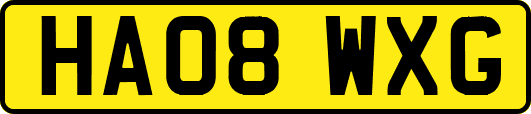 HA08WXG