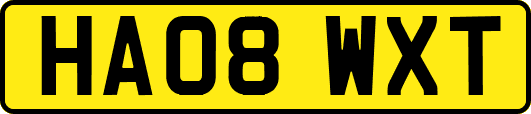 HA08WXT
