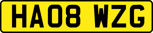 HA08WZG