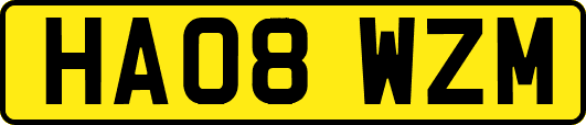 HA08WZM
