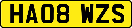 HA08WZS