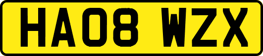 HA08WZX
