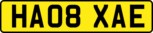 HA08XAE