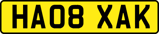 HA08XAK