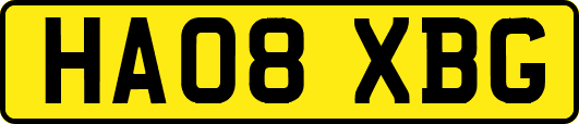 HA08XBG