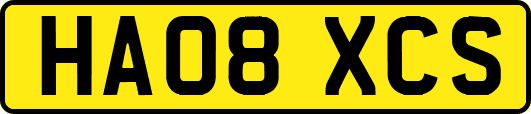 HA08XCS