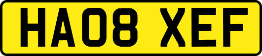 HA08XEF