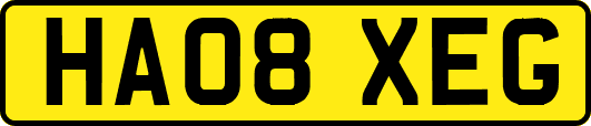 HA08XEG