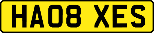 HA08XES