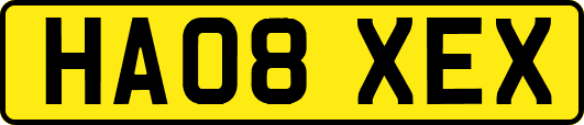 HA08XEX