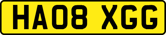 HA08XGG