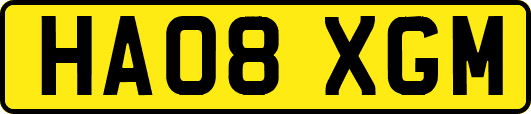 HA08XGM