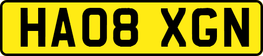 HA08XGN