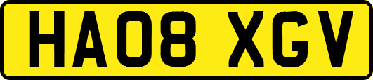 HA08XGV