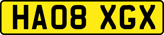 HA08XGX