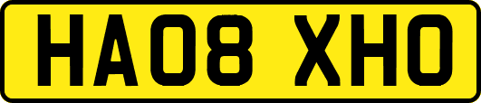 HA08XHO