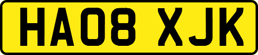 HA08XJK