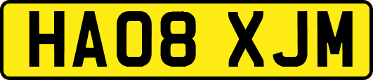 HA08XJM