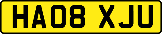HA08XJU