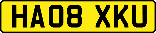 HA08XKU