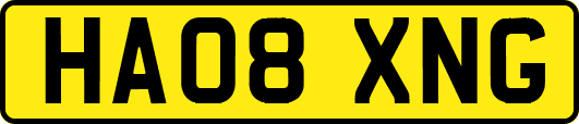 HA08XNG