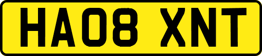 HA08XNT