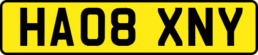 HA08XNY