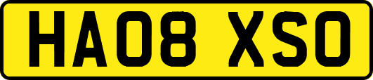 HA08XSO