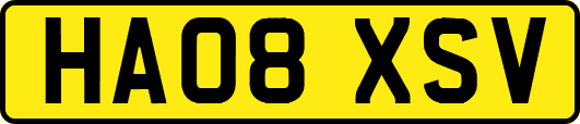 HA08XSV