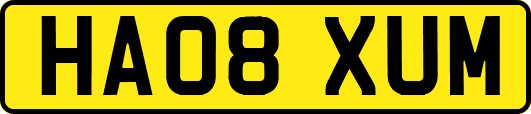 HA08XUM