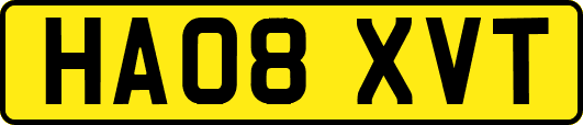 HA08XVT