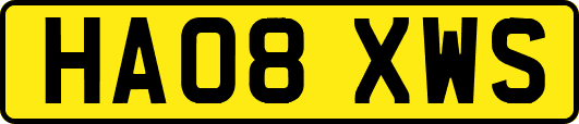 HA08XWS