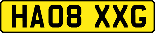 HA08XXG