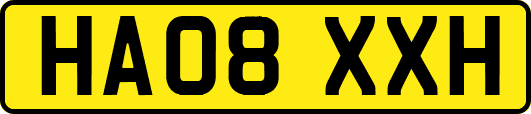 HA08XXH