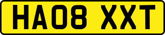 HA08XXT