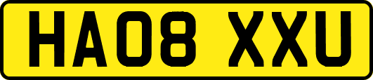 HA08XXU