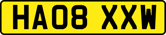 HA08XXW