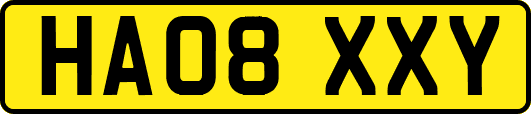HA08XXY