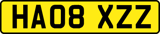 HA08XZZ