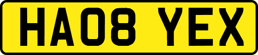HA08YEX