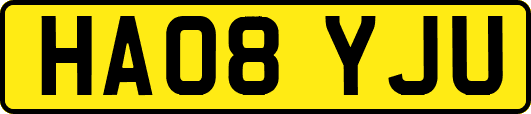 HA08YJU