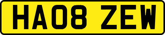 HA08ZEW