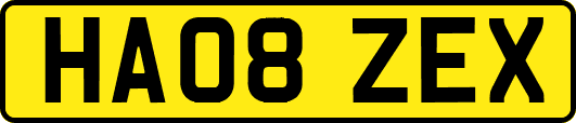 HA08ZEX