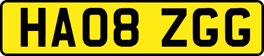 HA08ZGG