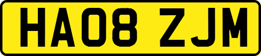 HA08ZJM