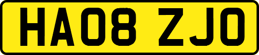 HA08ZJO