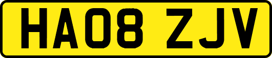 HA08ZJV
