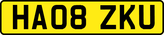 HA08ZKU